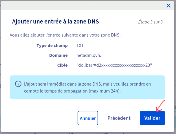 Ovh-dns-manage-4.png