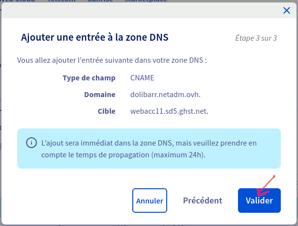 Ovh-dns-manage-6.png