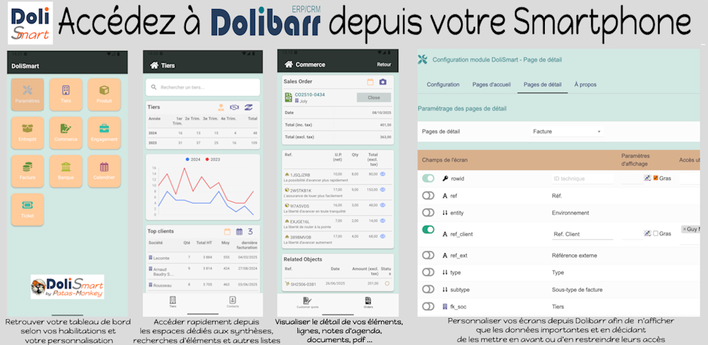 Presentation visuel dolismart.png