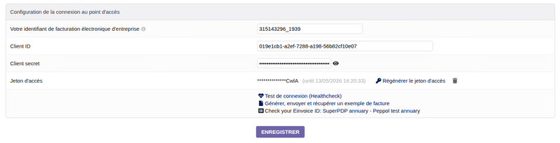 File:Einvoice setup example.png