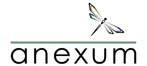 Anexum Logo.png