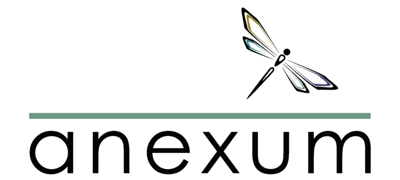 File:Anexum Logo.png